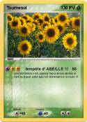 Tournesol 
