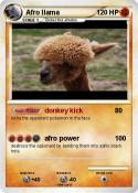 Afro llama