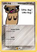 Little dog