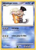 labradinger