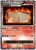 burning book