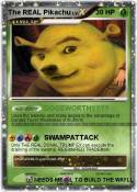 The REAL Pikach