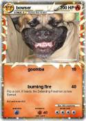 bowser