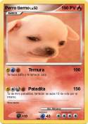 Perro tierno
