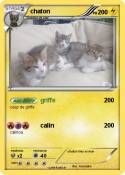 chaton