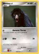 Monkey