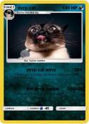derp cat