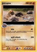 porcupine