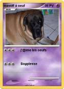 mastiff à oeuf