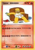  homer