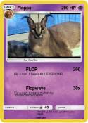 Floppa