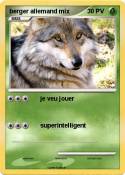 berger allemand