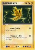 ELECTHOR NIV X
