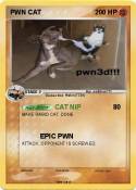 PWN CAT