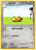gold cat