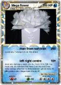 Mega flower