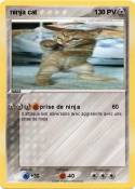 ninja cat