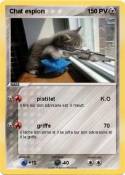 Chat espion