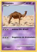 Dromadaire