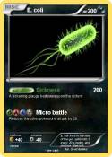 E. coli