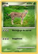 serval