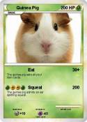 Guinea Pig