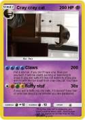 Cray cray cat