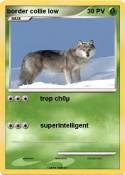 border collie