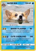 WATER BOI