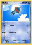 Mudkip