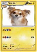 TURBO
