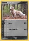 zekrom