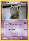 Attack cat