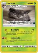 bordcat