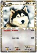 husky