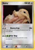 Bunny