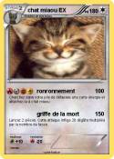 chat miaou EX