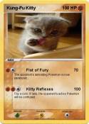 Kung-Fu Kitty