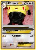 Pugachu