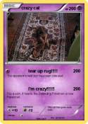 crazy cat