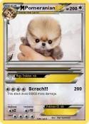 Pomeranian