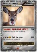 Watch out deer