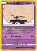 BEEG BRAIN