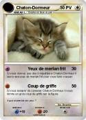 Chaton-Dormeur