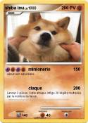 shiba inu
