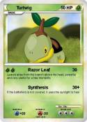 Turtwig