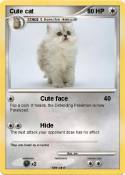Cute cat