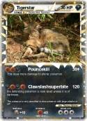 Tigerstar