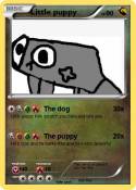 Little puppy