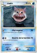chakin